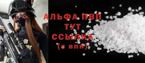 PSILOCYBIN Заволжск