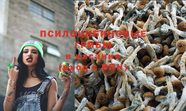 Альфа ПВП Зеленодольск