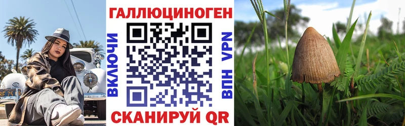 даркнет сайт  блэк спрут зеркало  Галлюциногенные грибы мицелий  Ирбит 