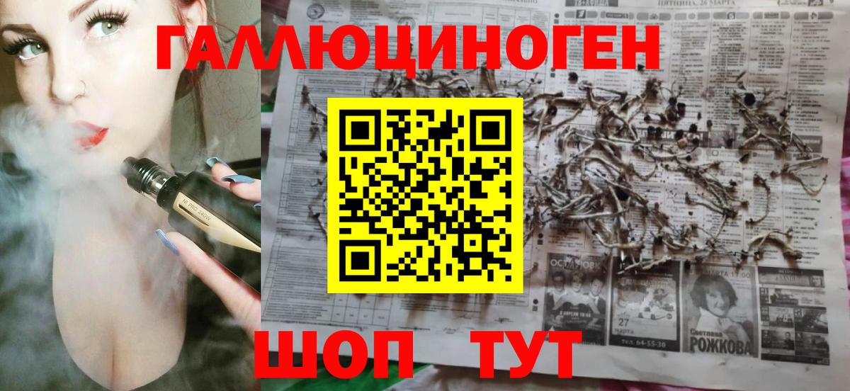 Галлюциногенные грибы Psilocybe Ирбит